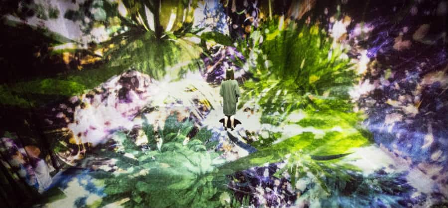 Amos Rex’s first exhibition showcases digital art by a Japanese group of artists called teamLab. They are known for their immersive digital installations, where colors play an important role.