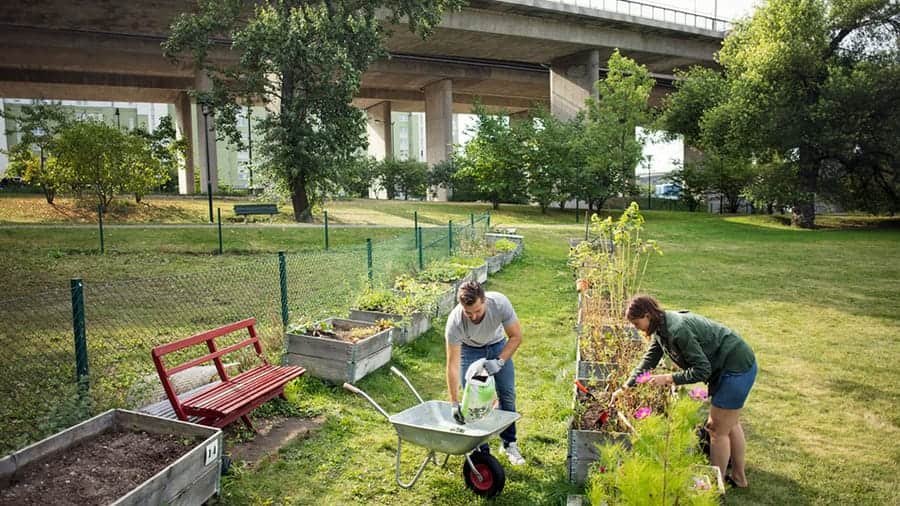 img_urban-garden-sweden